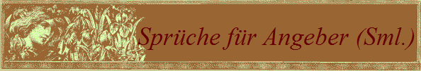 Sprche fr Angeber (Sml.)